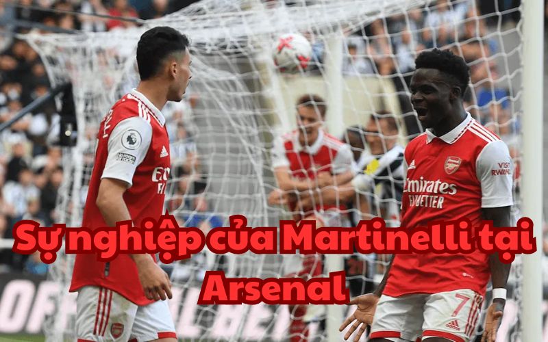 Đến với Arsenal, anh được kỳ vọng sẽ trở thành ngôi sao của đội bóng