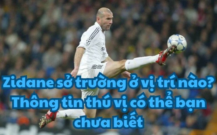 Zidane đá vị trí nào?