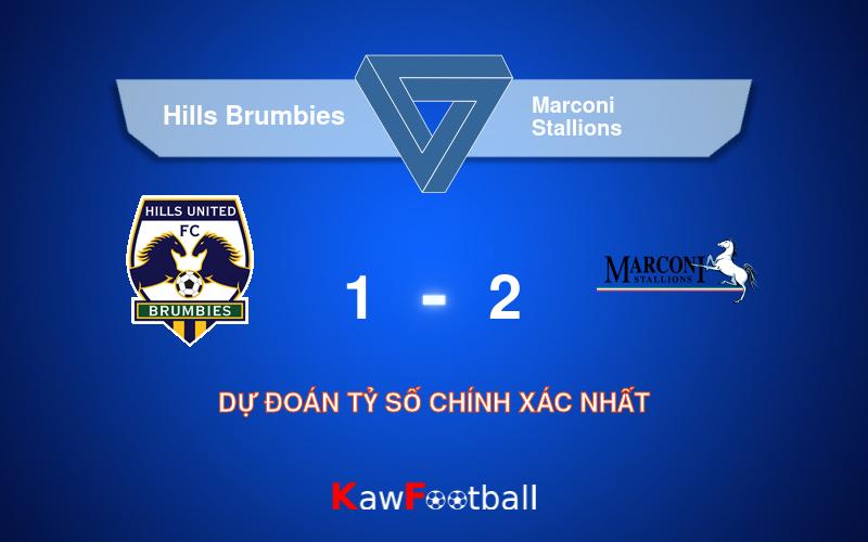 Soi kèo Hills Brumbies vs Marconi Stallions 16h00 10/08/2024