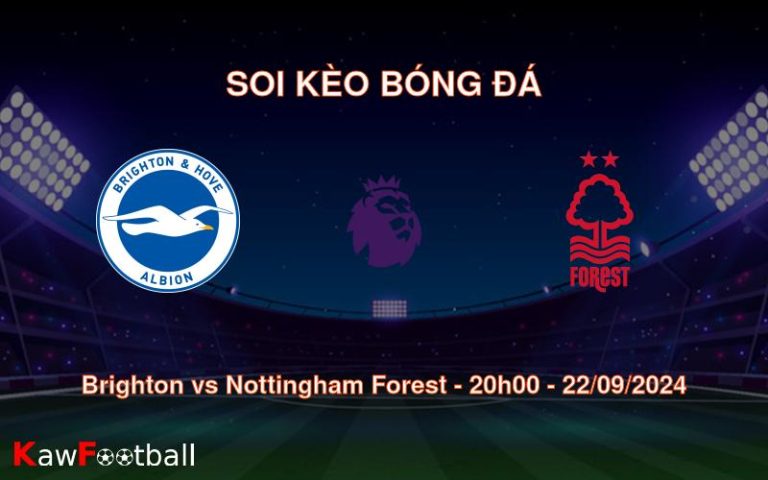 Soi kèo Brighton vs Nottingham Forest 20h00 22/09/2024